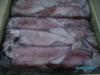 Sell SEAFROZEN SQUID LOLIGO CHINESE WITH IG SIZES FROM VIETNAM