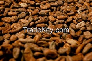 CACAO BEANS BIO