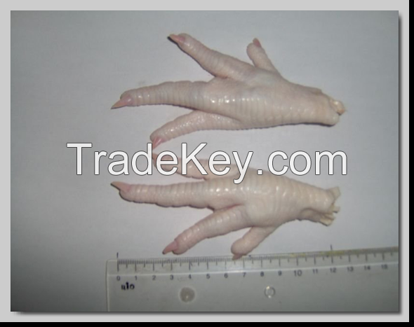 Chicken Paws Grade A For Sale 