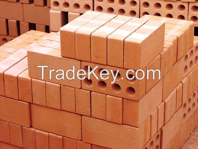 Construction bricks (any types)