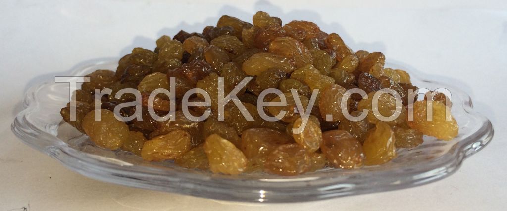 Iranian Malayeri Raisins