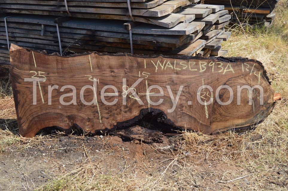 Walnut Slabs - Flitch Log