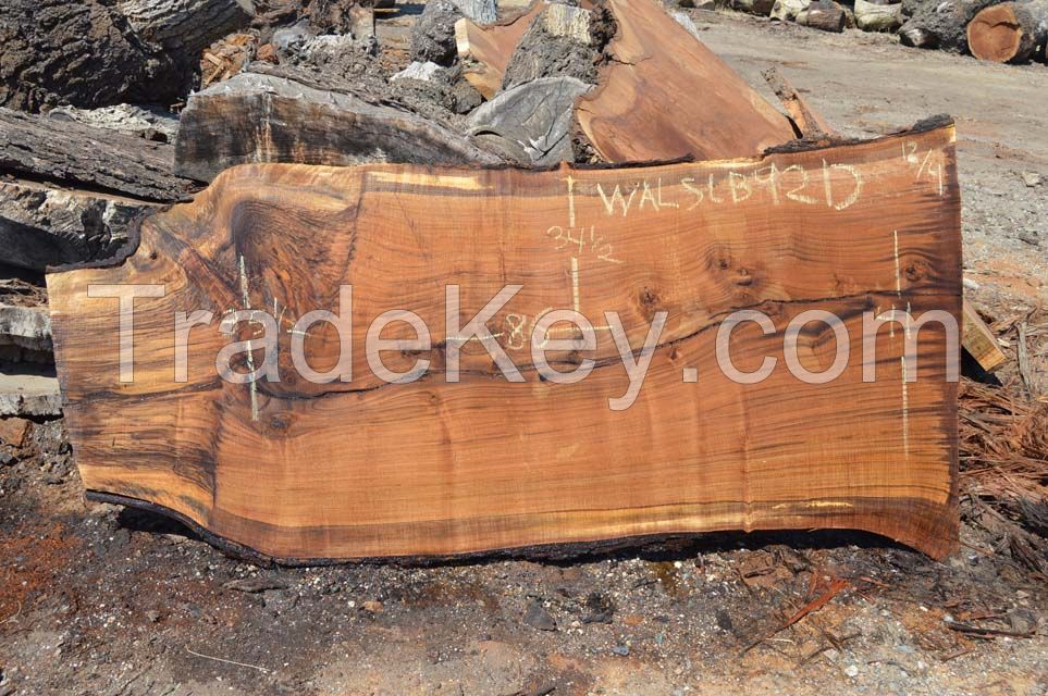 Walnut Slabs - Flitch Log