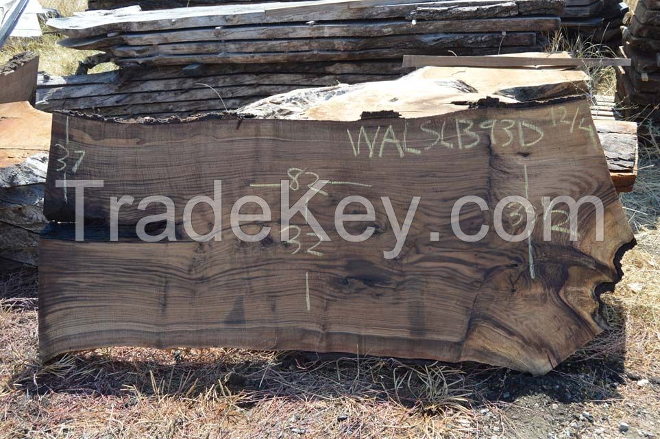 Walnut Slabs - Flitch Log