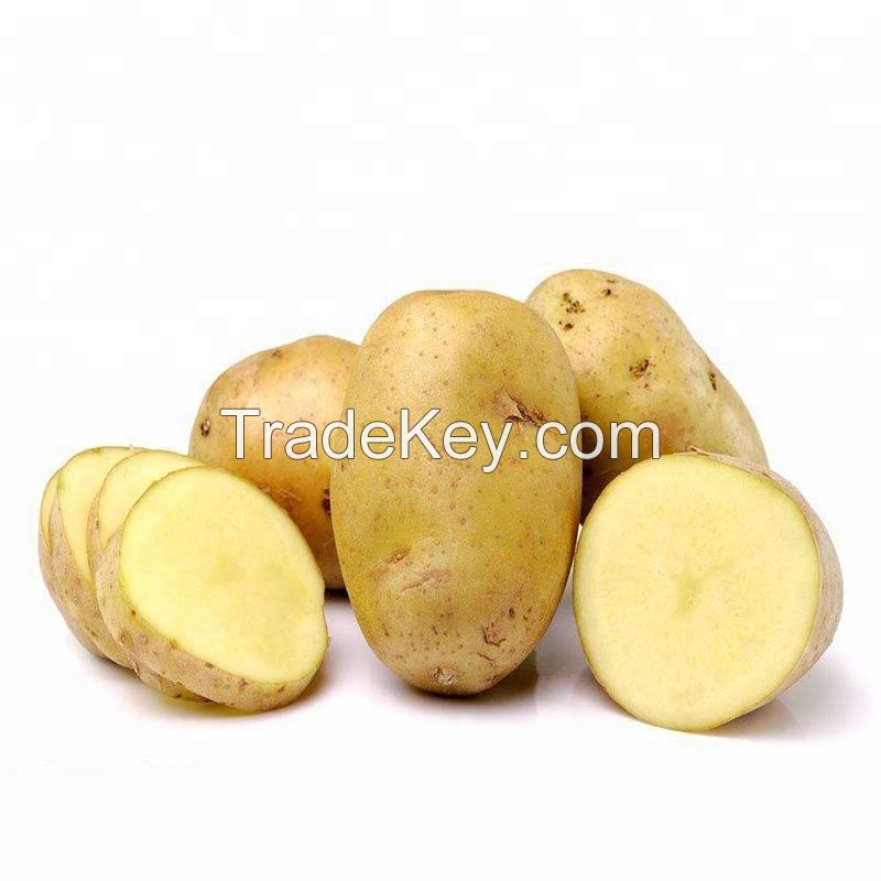 Fresh Potatoes current crop