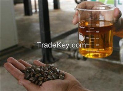 Crude Jatropha Oil 