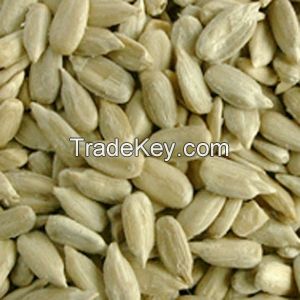 Sunflower seeds 5009, size 24/64