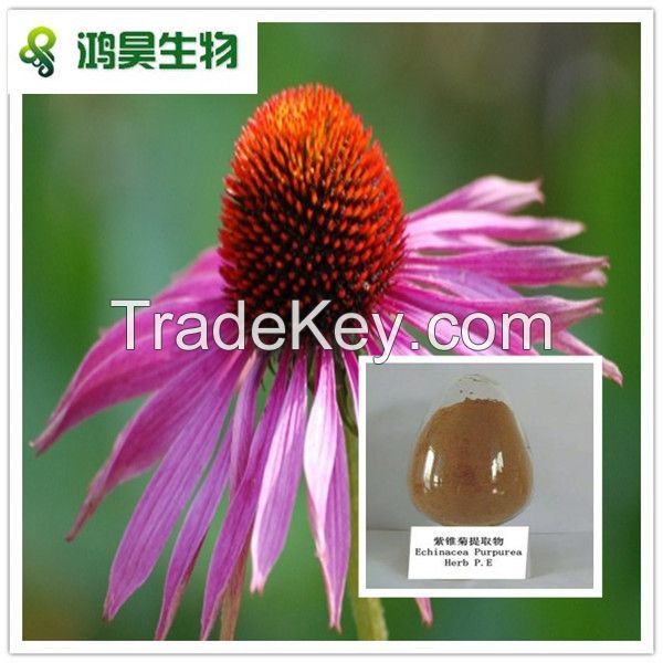 Echinacea Extract