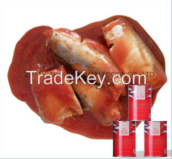 Canned mackerel in tomato sauce, Canned mackerel fish manufacturer