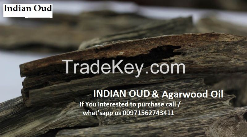 Oud & Agarwood Oil for sale in UAE very good Quality from India 100% original natural