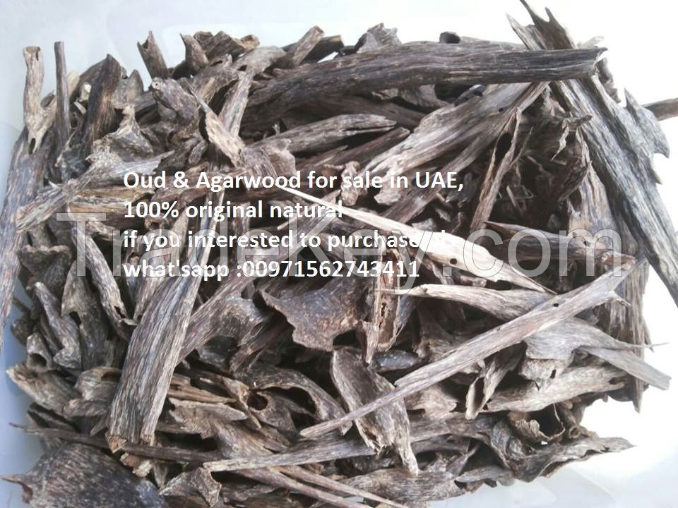 Oud & Agarwood Oil for sale in UAE very good Quality from India 100% original natural 