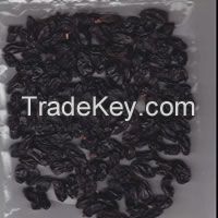 Raisins Dried Fruit JET BLACK RAISINS