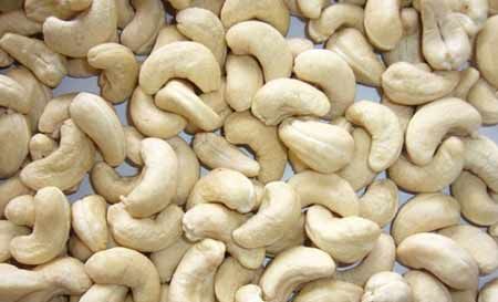 Cashew Nut  Cashew nuts best export market 