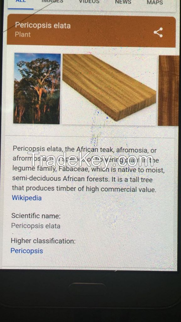 AFROMASIA - PERICOPSIS ELATA - AFRICAN TEAK WOOD