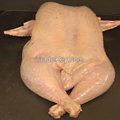 Grade 1 Quality Whole Frozen Turkey 