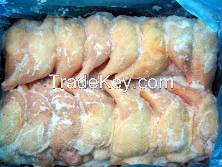 Quality Fresh Frozen Chicken mucles Grade 1