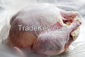 100% Grade A Quality Whole Frozen Turkey 