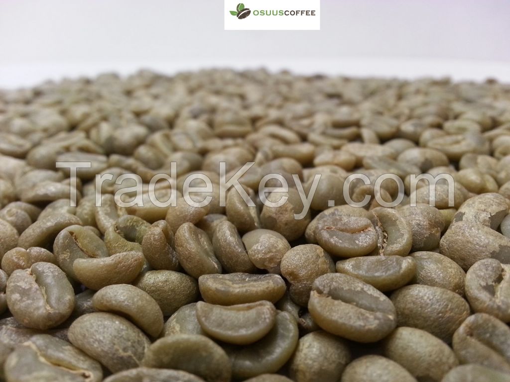 Arabica 100% Green Coffee Beans Specialty Grade and Premium quality