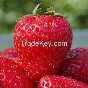 IQF Strawberry