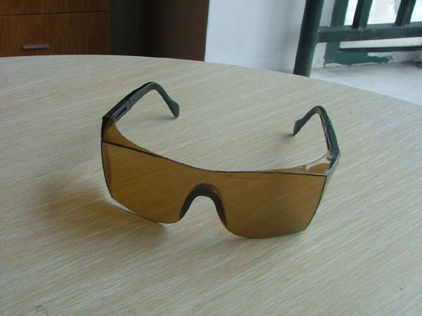 safety glasses/safety goggle