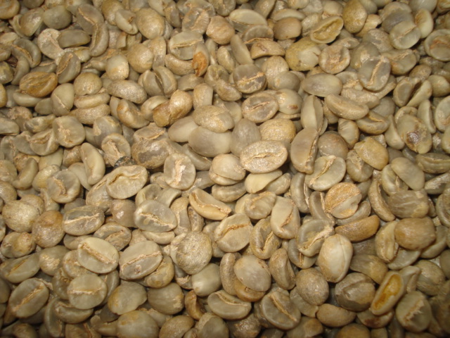  Export Coffee Beans | Coffee Bean Importer | Coffee Beans Buyer | Buy Coffee Beans | Coffee Bean Wholesaler | Coffee Bean Manufacturer | Best Coffee Bean Exporter | Low Price Coffee Beans | Best Quality Coffee Bean | Coffee Bean Supplier | Sell Coffee Be