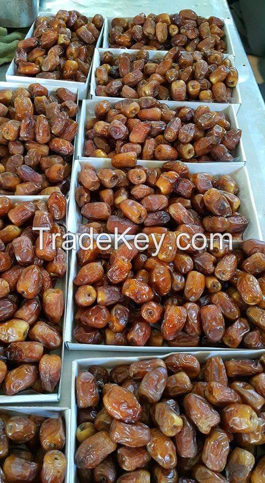 Semi dried Dates