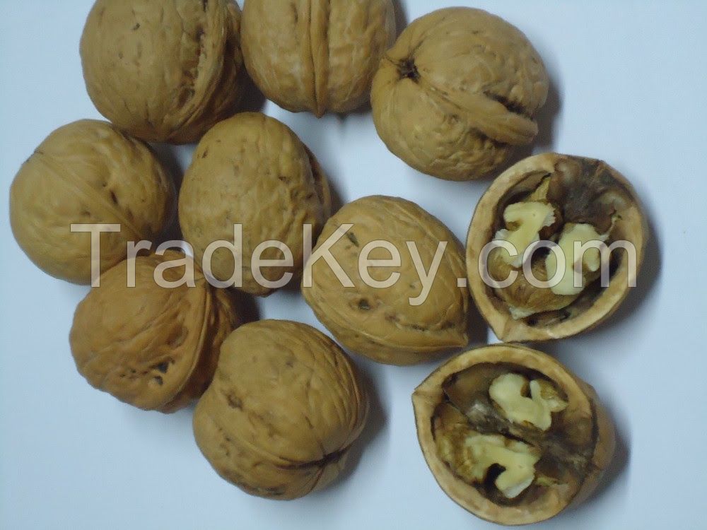 Inshell Walnuts, Shelled Walnuts