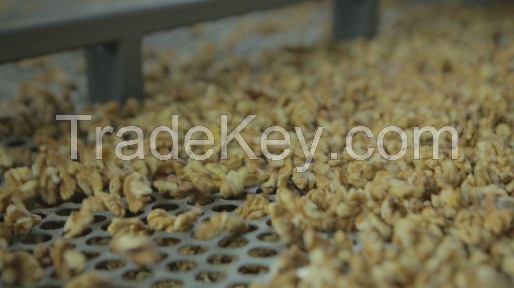 Walnut kernel