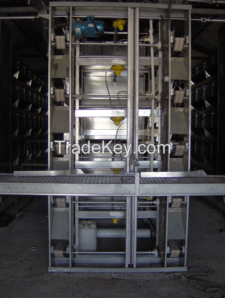 Poultry Cage, layer cage, chick cage, broiler cage