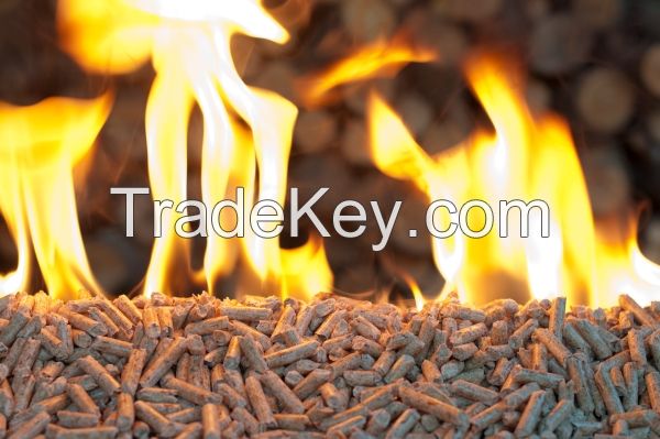 Wood pellet for heating