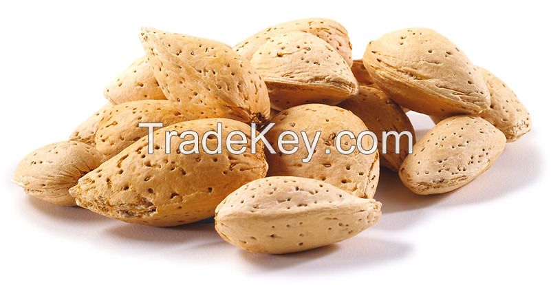 Almond Nuts