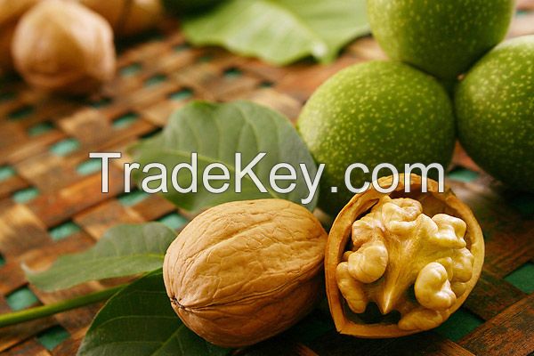 Walnut Kernels