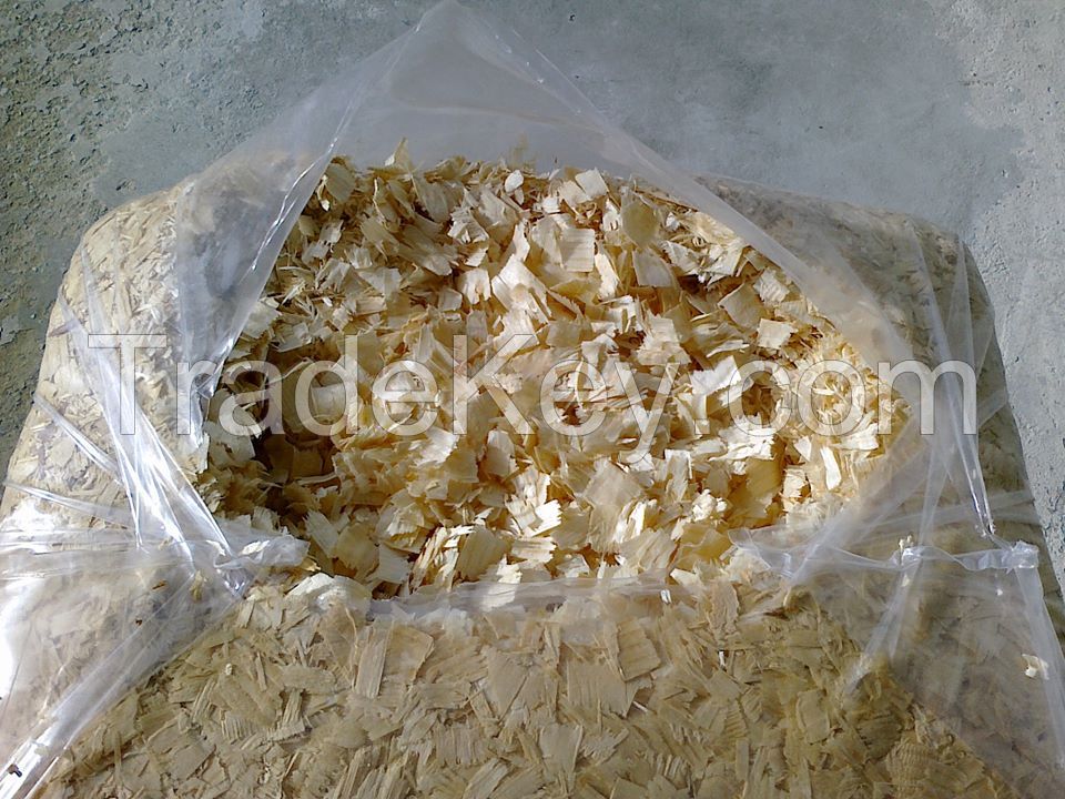 PINE WOOD SHAVINGS KAYSERÄ° UNITED CO.