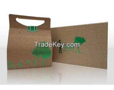 Hand Carry Paper Box with Green Foil Stamping