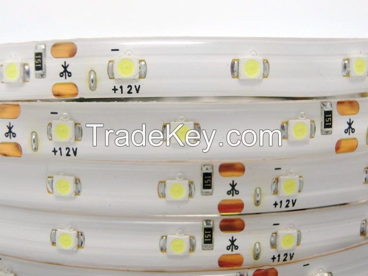 LED Strip, Waterproof, 5m 300 LED 3528 SMD 12V flexible light 60 led/m, w