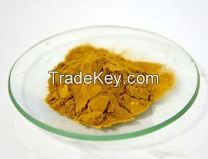 3081-61-6 L Theanine Powder 98% 99% L-Theanine