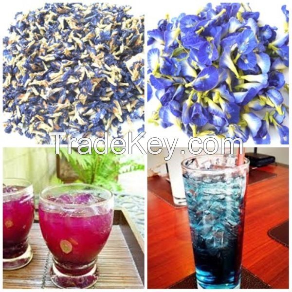 DRIED BUTTERFLY PEA FLOWER TEA THAI HERB NATURAL ORGANIC HEALTHY BLOOD DRINK