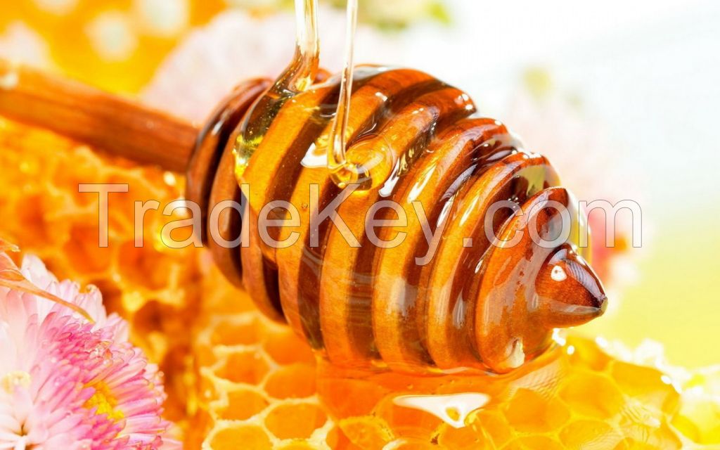 Natural Herbal Honey Origin Ukraine