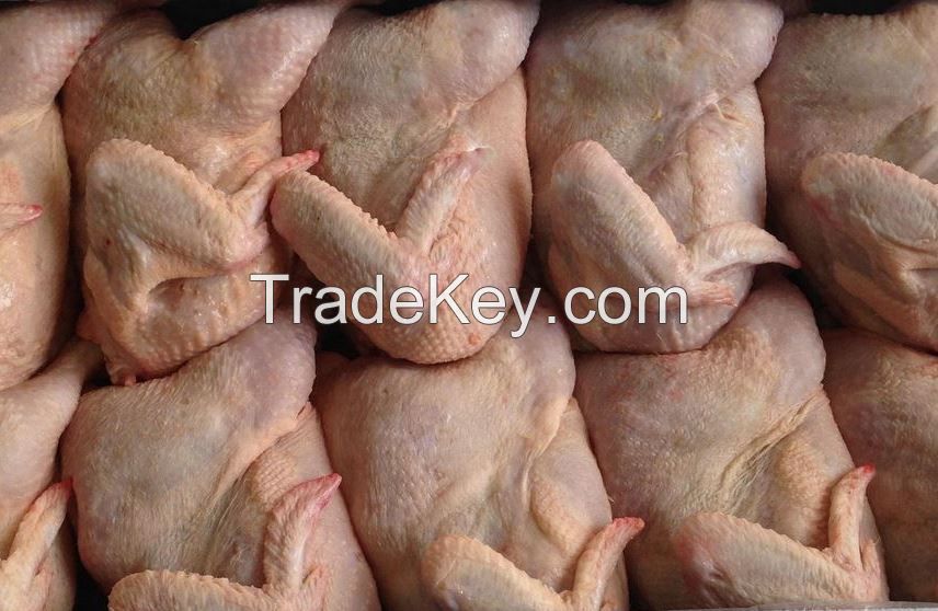 Frozen Chicken Feet - Frozen Chicken Tail - Frozen Chicken Back - Frozen Neck Skin-on