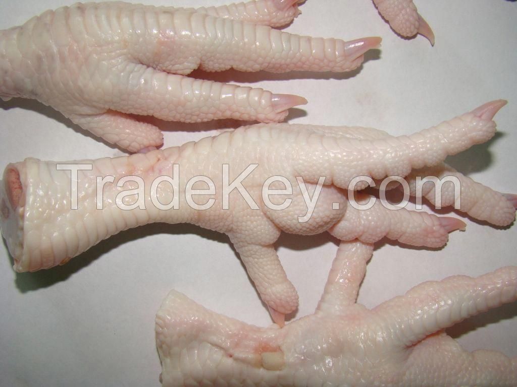 Halal Frozen chicken feet and paws , chicken feet , chicken paws