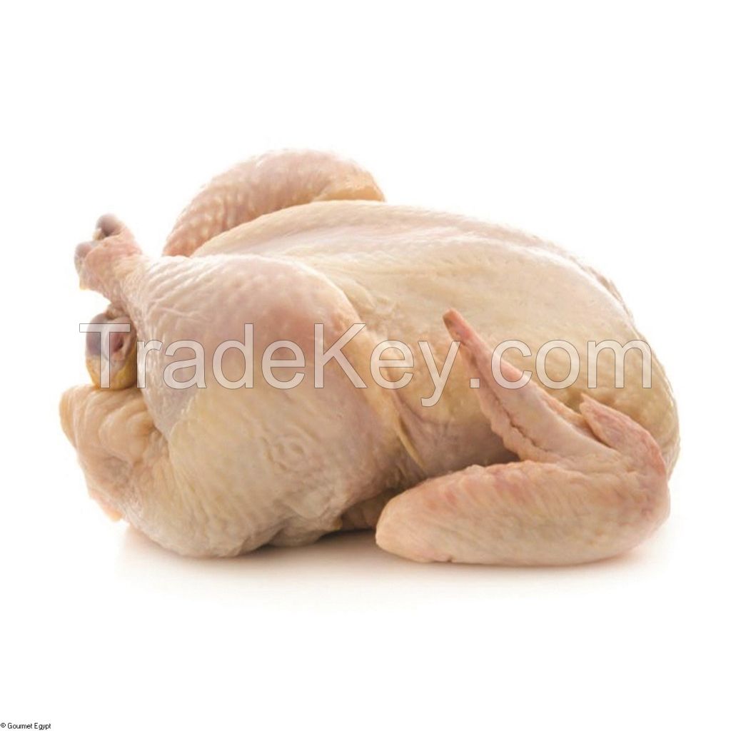 BRAZIL HALAL FROZEN WHOLE CHICKEN, FROZEN CHICKEN PAWS FROZEN PROCESSED CHICKEN FEET