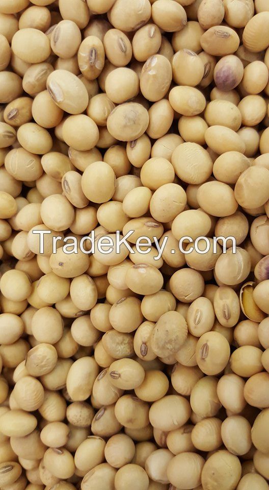 Non GMO Food grade powder Lecithin/Soybean Lecithin/Soyabean Soya Lecithin