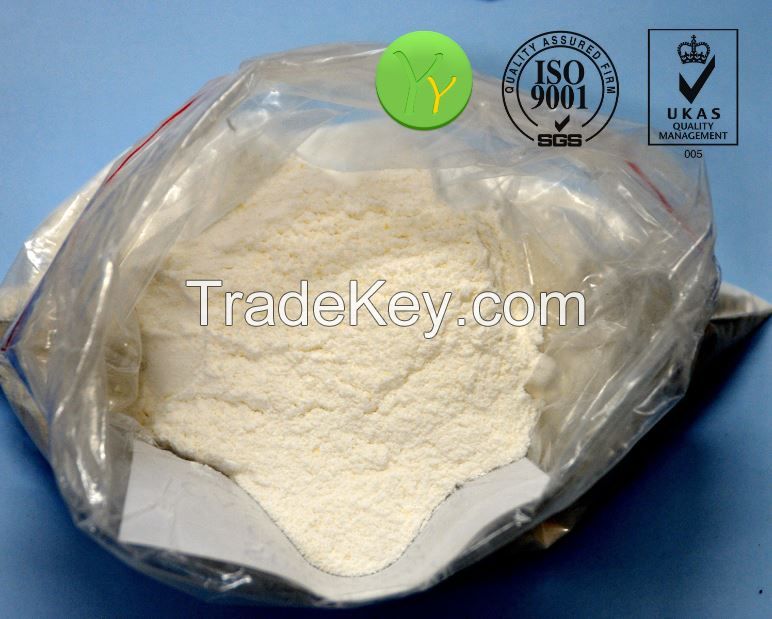 Halal Food Grade Non Gmo Soya Lecithin Powder,E322 Soy Lecithin powder and liquid