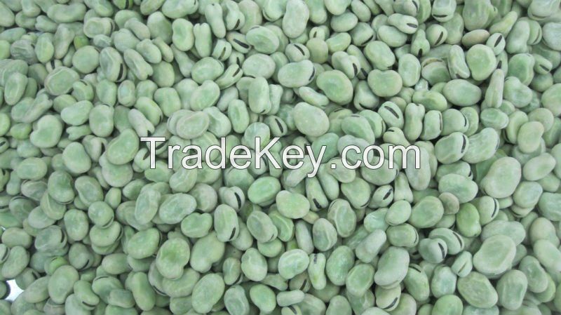 Dry and frozen Whole and Split Broad beans/ Fava beans