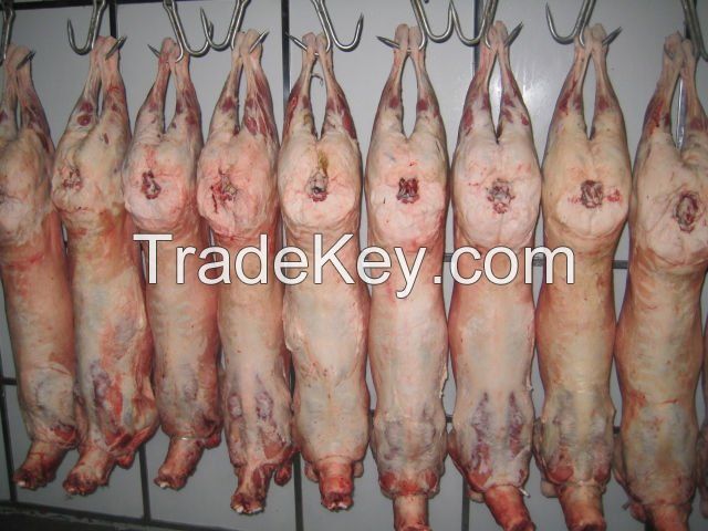 Boneless New Zealand Lamb Leg Meat and other parts