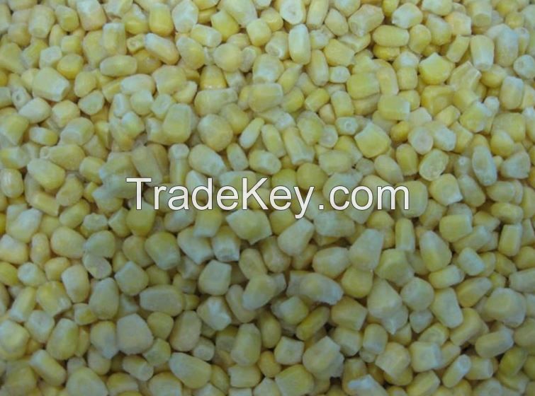 Golden Yellow Color Frozen Edible Sweet Corn Kernels Whole