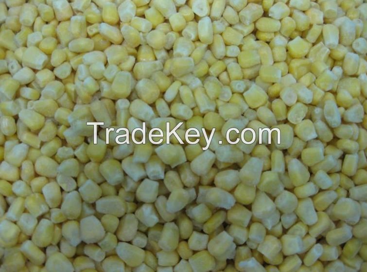 Golden Yellow new crop Frozen type IQF Sweet Corn Kernels Whole