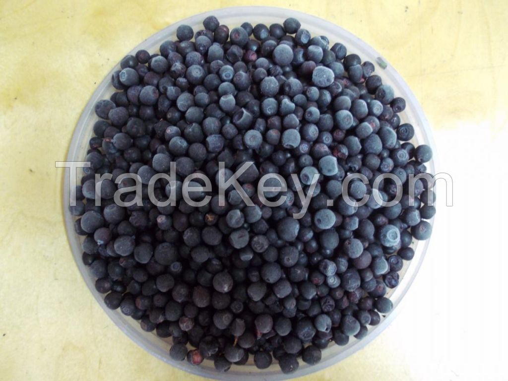 WIld blueberry