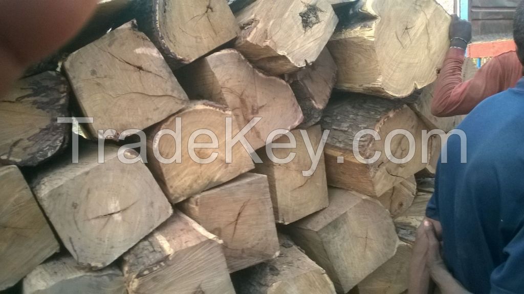 kosso wood