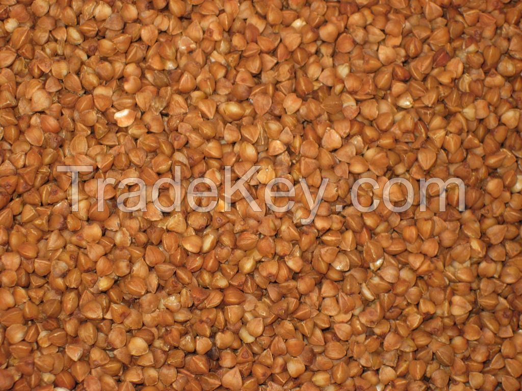 Buckwheat